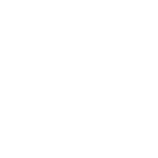 security (1)